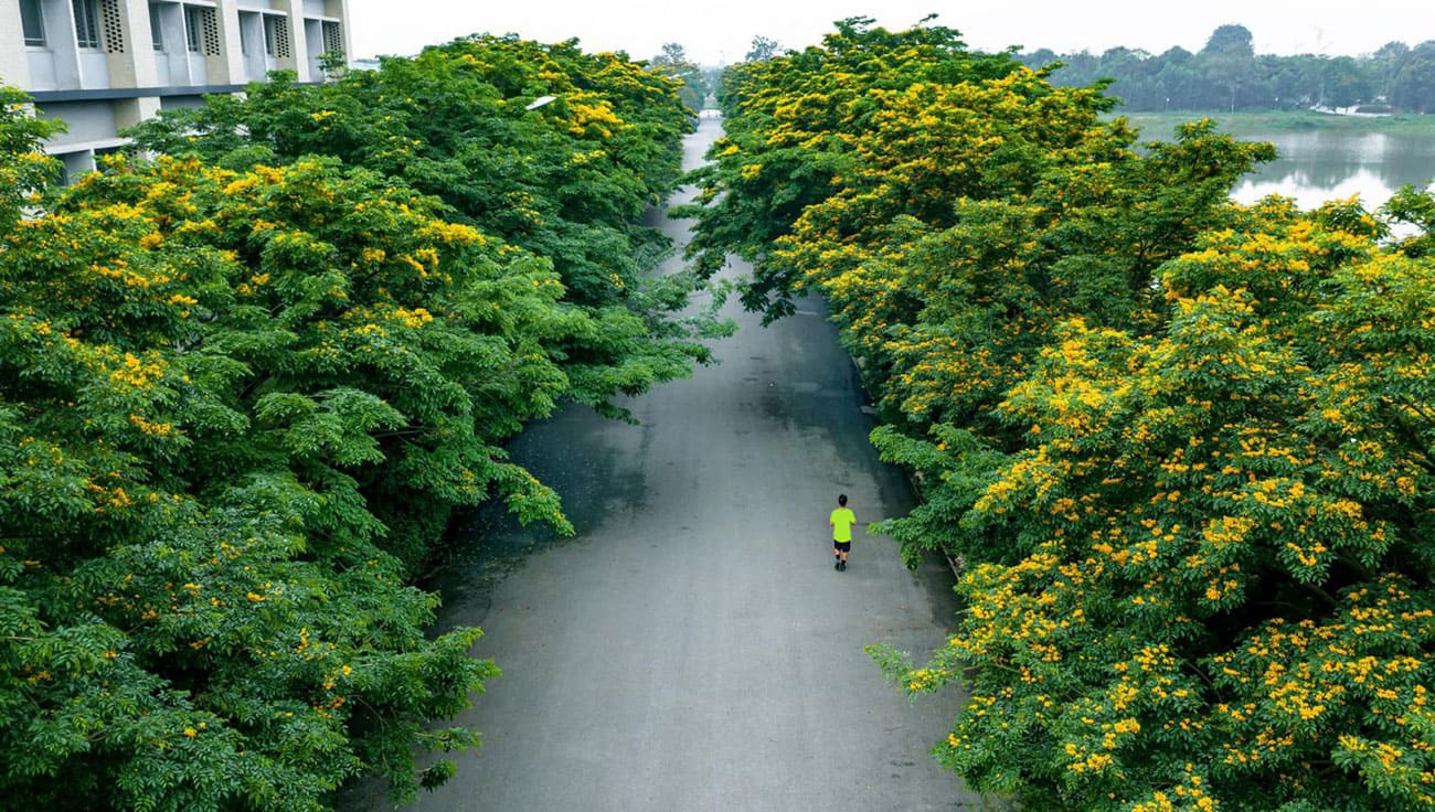 Thiên nhiên trong lòng Ecopark.